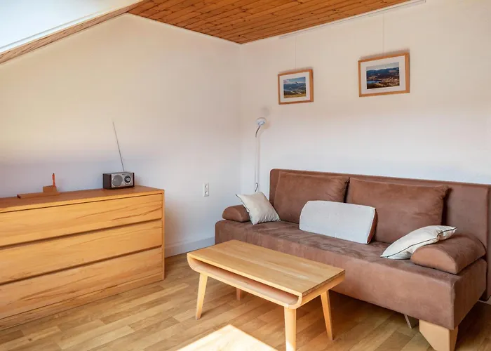 Cheny 2 Mit 36qm Διαμέρισμα Titisee-Neustadt