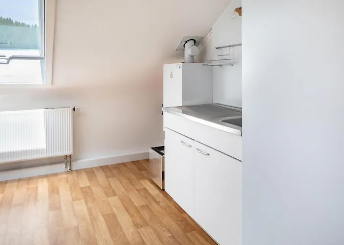 Cheny 2 Mit 36qm Διαμέρισμα Titisee-Neustadt